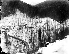 Martin Creek trestle